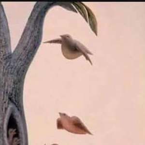 Meet your Posher, Deana